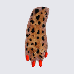 Rawr Paw brooch